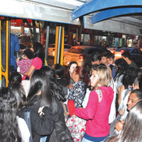 miniatura galeria
