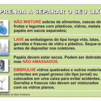 miniatura galeria