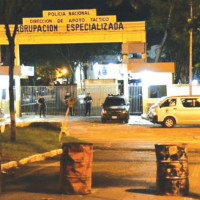 miniatura galeria