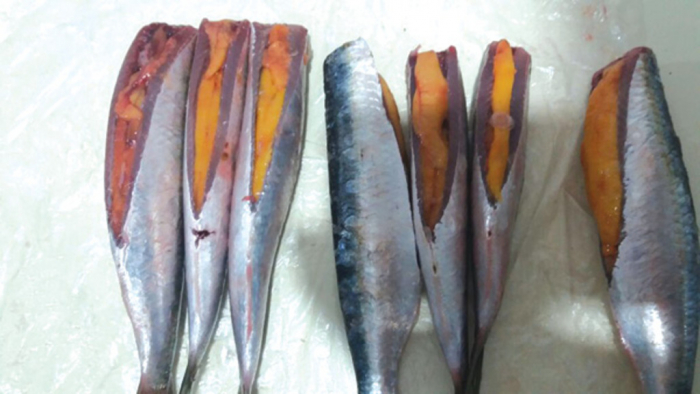 Morador ficou com dó ao ver 70% do peixe que comprou ovado