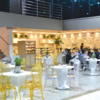 miniatura galeria