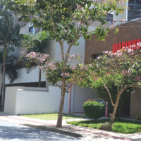 miniatura galeria