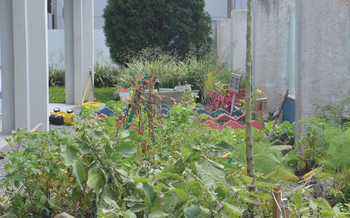 Jardins com árvores frondosas e a horta são alguns dos diferenciais