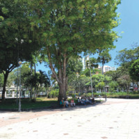 miniatura galeria