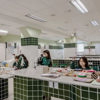 miniatura galeria