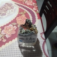 miniatura galeria