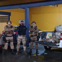 miniatura galeria