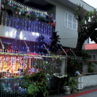miniatura galeria