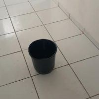 miniatura galeria