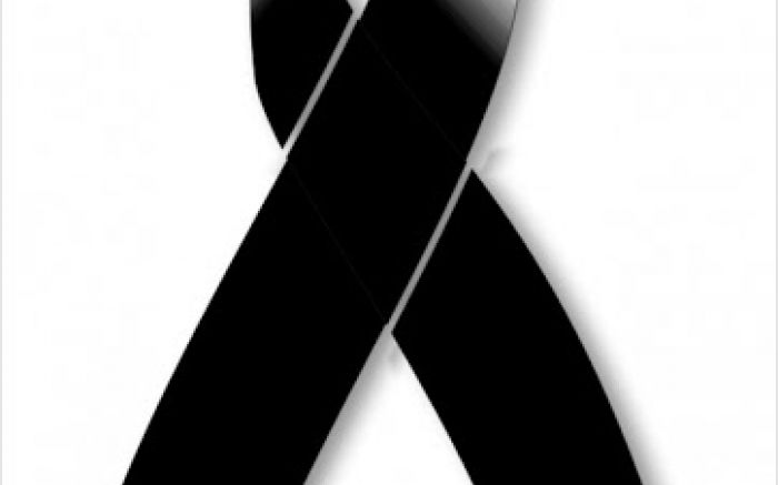 {Imagem: Ilustrativa}