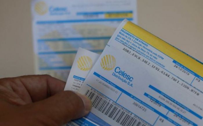 O formulário está disponível no site da Celesc. (Foto: divulgação)