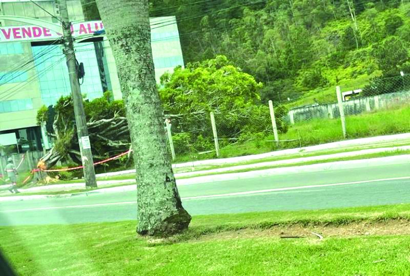 Corte foi autorizado pelo Inis