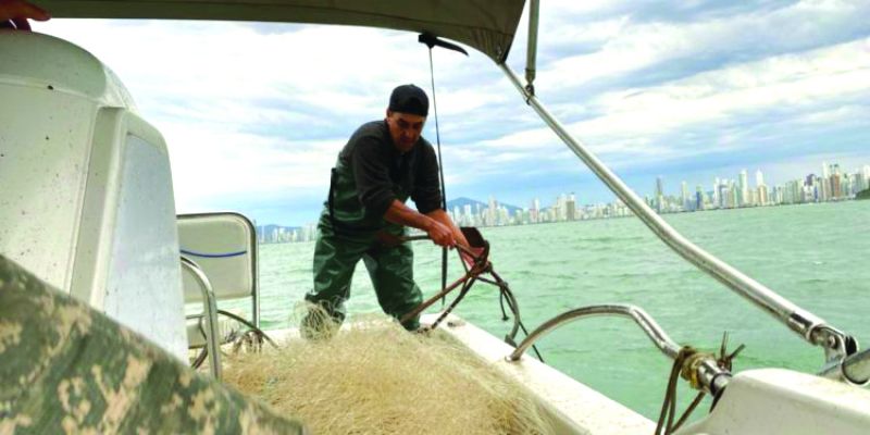 Redes ilegais de pesca podem provocar encalhes e levar animais à morte