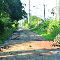 Produtores pedem pavimentação da rua da colônia Japonesa