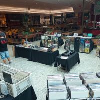 miniatura galeria