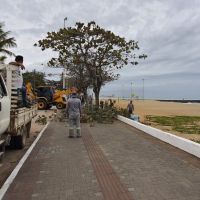 miniatura galeria