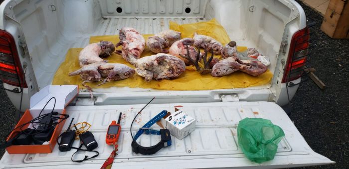 Mecânico foi preso em flagrante com carne de nove animais silvestres em casa(Foto: Divulgação)