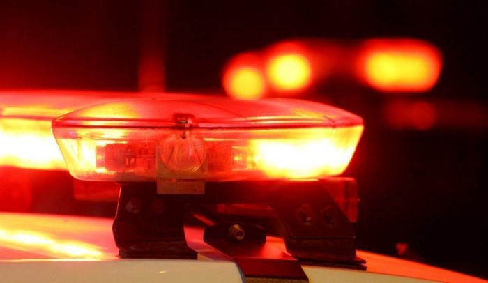 O ladrão foi conduzido até a central de plantão policial Foto: Imagem/ Reprodução