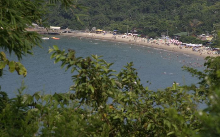 Objetivo é detalhar ações prioritárias e áreas pra conservação e recuperação na cidade (Foto: Divulgação)