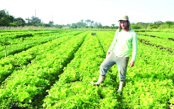 Produtores de Itajaí relatam preocupação com as mudanças no clima
(foto: João Batista)