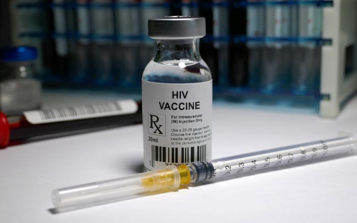 Os estudos da vacina ganharam novos investimentos após a pandemia da Covid-19
. Foto: Reprodução