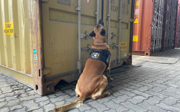 Droga estava escondida em uma carga de cerâmica (Foto: Divulgação)