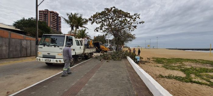 A previsão para a conclusão de revitalização é até dia 7 de setembro (Foto: Reprodução)