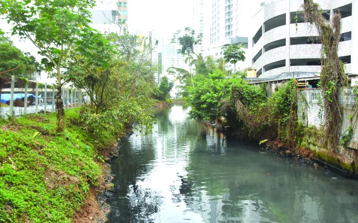Projeto faz parte de ações pra revitalização e criação de parque linear (foto: João Batista