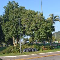 miniatura galeria
