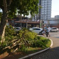miniatura galeria