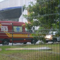 miniatura galeria