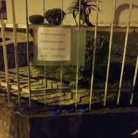 miniatura galeria