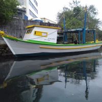 miniatura galeria