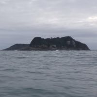 miniatura galeria