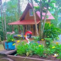 miniatura galeria