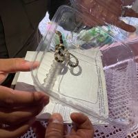 miniatura galeria