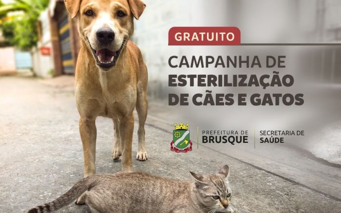 As clínicas credenciadas e consideradas aptas vão executar o serviço no município Foto: Divulgação