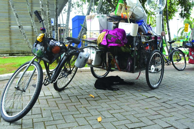 Animais de moradores de rua não têm acesso à castração e ninhadas agravam o problema (foto: João Batista)