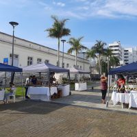 miniatura galeria