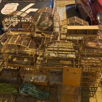 miniatura galeria