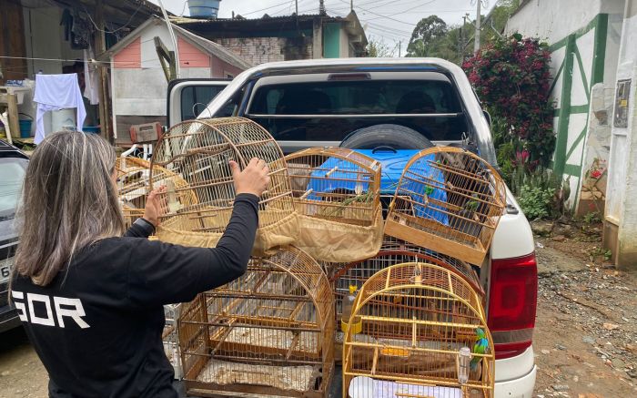 Três pessoas foram levadas para a delegacia
 (Foto Divulgação)