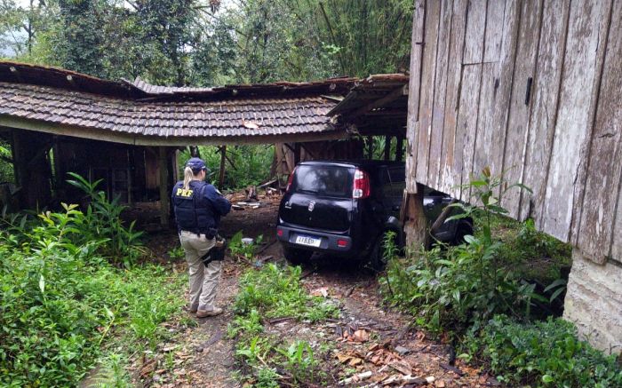 Três veículos foram recuperados
(foto: divulgação)