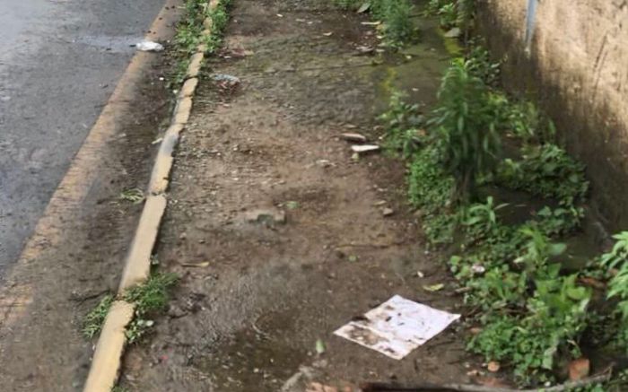O calçamento do prédio apresenta mato, limo e ainda estão quebradas. (Foto: Leitor)