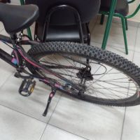 miniatura galeria
