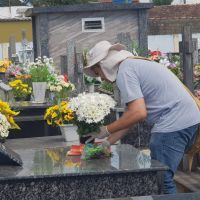 miniatura galeria