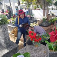 miniatura galeria