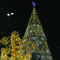 miniatura galeria