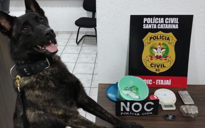 Cão farejador ajudou polícia a encontrar as drogas (Foto: Divulgação)