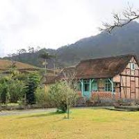 miniatura galeria