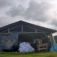 miniatura galeria